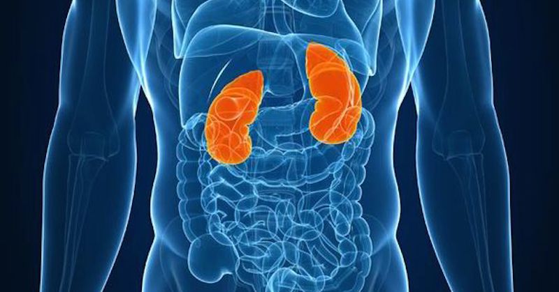 early signs of kidney disease