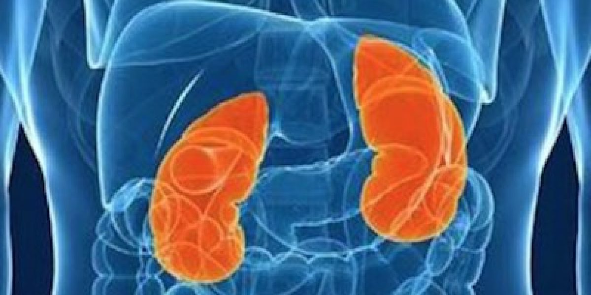 Early Signs Of Kidney Disease That You Must Not Ignore, And What To Do