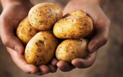 How To Use Potatoes To Heal Gastritis, Gastric Ulcers, Rheumatism And Relieve Joint Pains