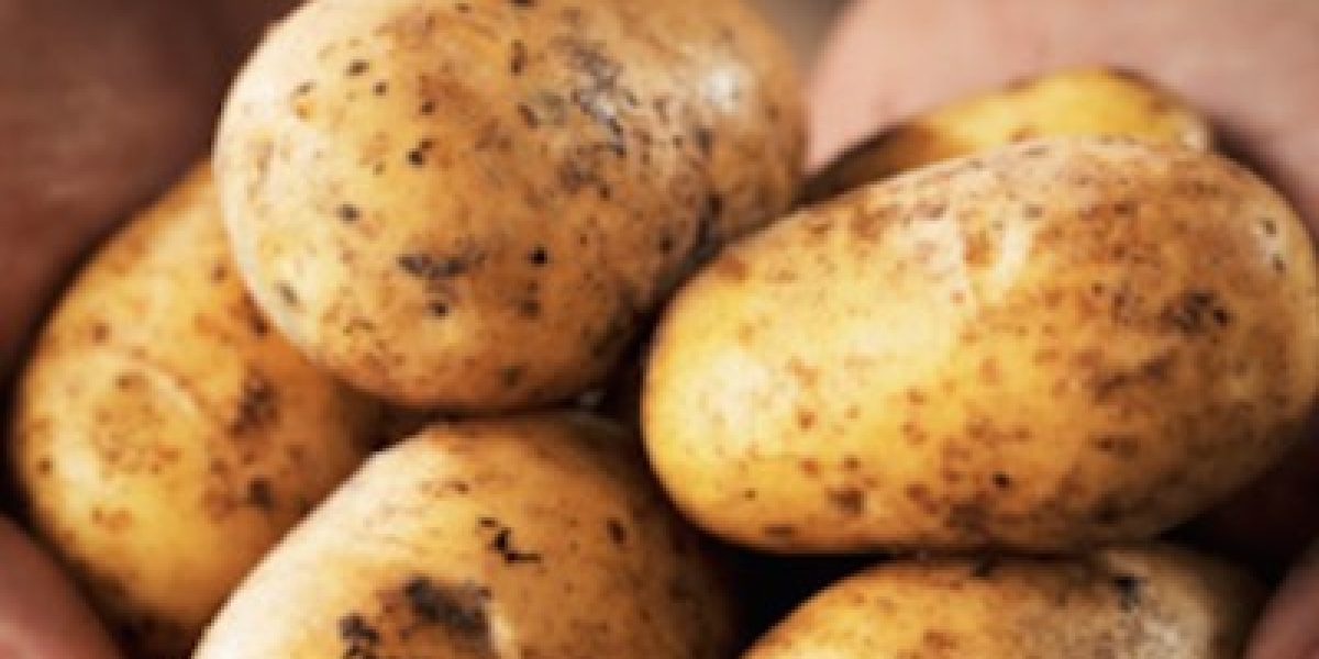 Conventional Potatoes Are Grown With 31 Cancer-Causing Toxins From Pesticides