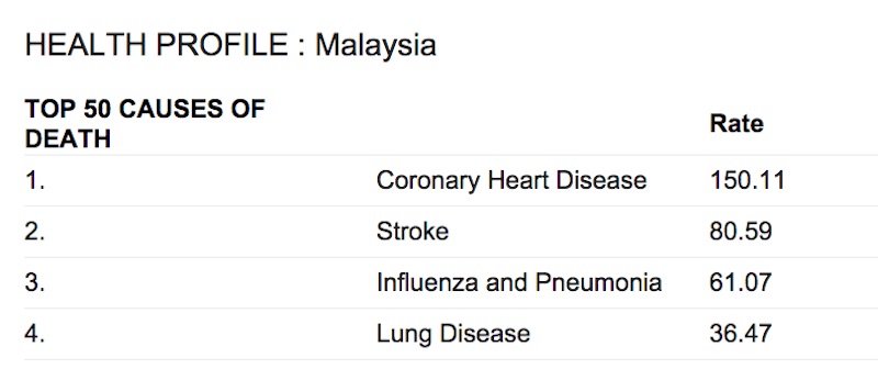 health profile of Malaysia top causes of death