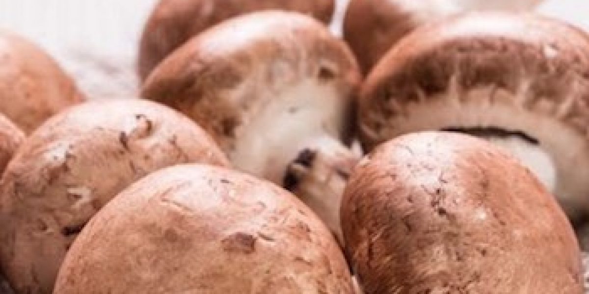 11 Amazing Things That Happen To Your Body When You Eat Mushrooms