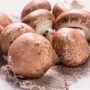 11 Amazing Things That Happen To Your Body When You Eat Mushrooms