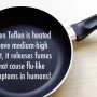 Scientists Warn Against Cooking With Fluorinated Non-Stick Cookware