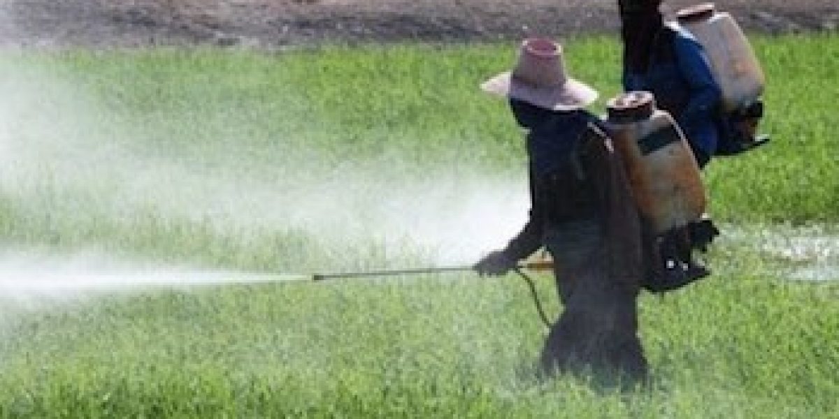 Monsanto’s DDT Pesticide Could Raise Breast Cancer Risk In Next Generation