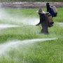 Monsanto’s DDT Pesticide Could Raise Breast Cancer Risk In Next Generation