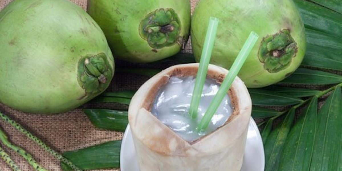 This Is Why A Coconut Tree Is Coined As The "Tree Of Life"