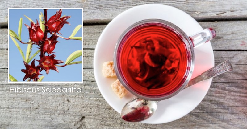 hibiscus tea