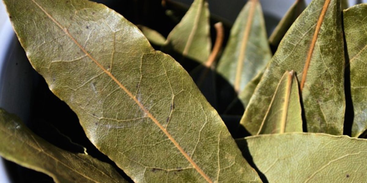 Burn A Few Dried Bay Leaves In Your Home And Feel An Immediate Change To The Atmosphere