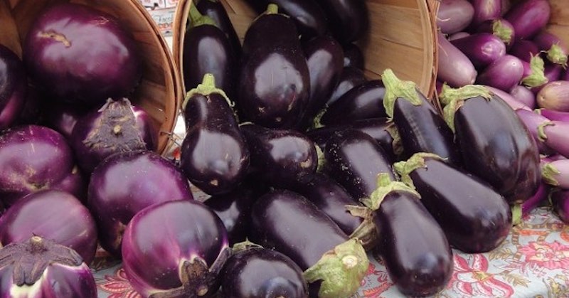 health benefits of eggplant