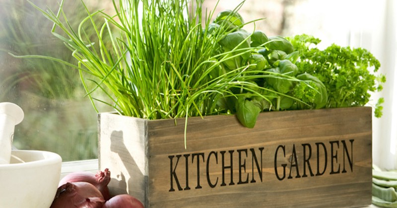 kitchen garden