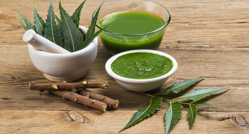 Health Benefits of Neem - Virtually A Living Pharmacy And Better!