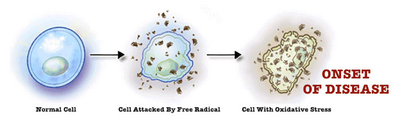 Ozone therapy - cellular damage