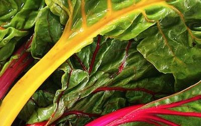 The Health Benefits Of Swiss Chard Are As Colorful As The Vegetable Itself
