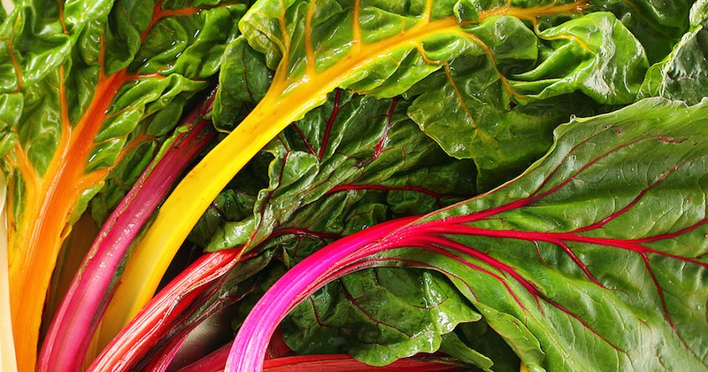 health benefits of swiss chard