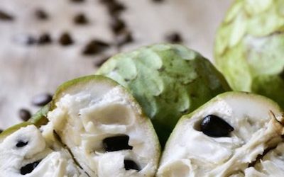 Tropical Fruit Cherimoya Has High Antioxidant And Anti-Aging Properties