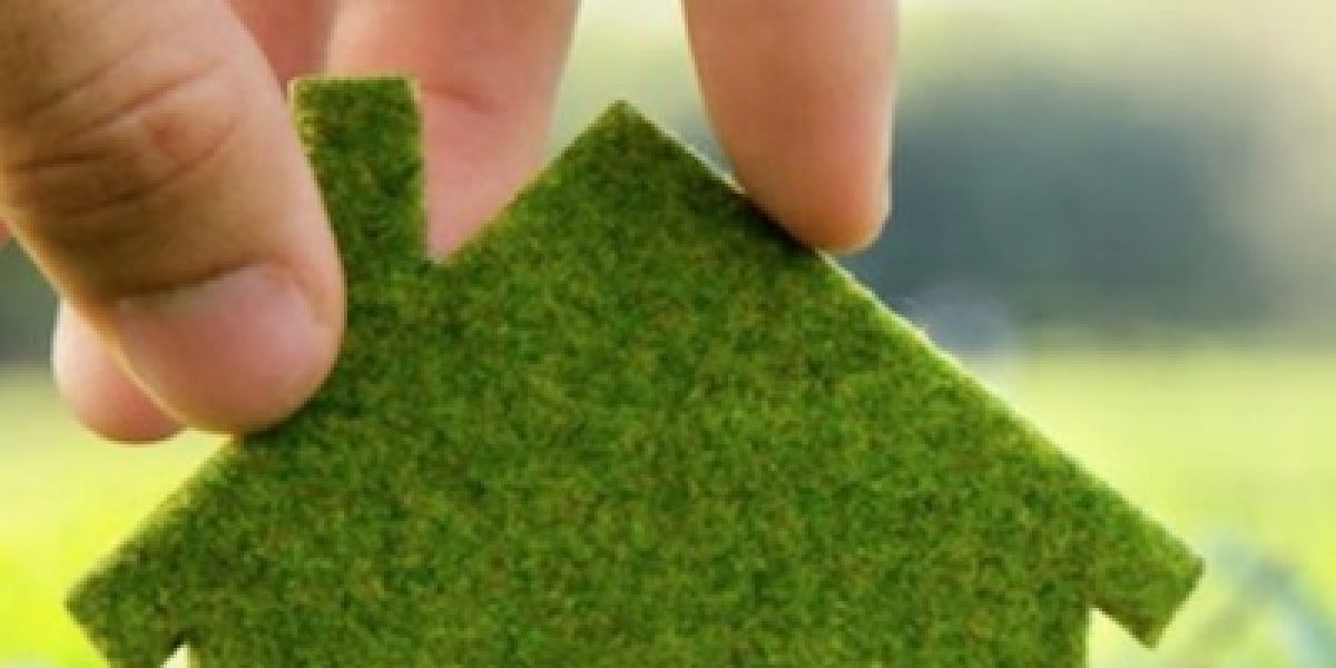 How To Go Green At Home To Save The Environment And Money