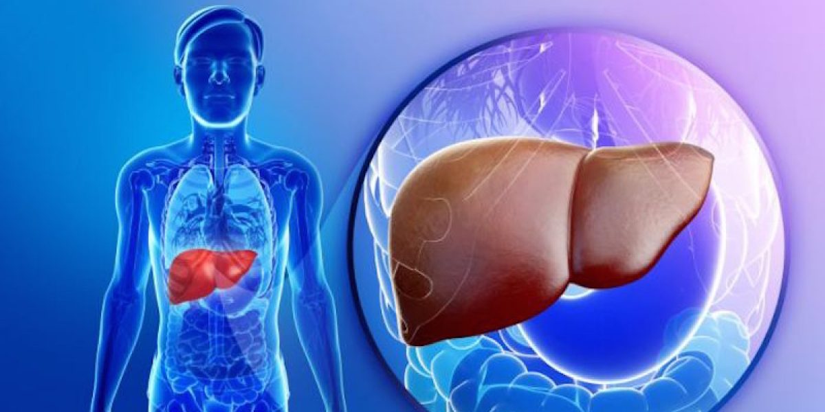 High Liver Enzymes In Your Blood Test Results And What They Mean