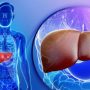 High Liver Enzymes In Your Blood Test Results And What They Mean