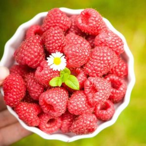 A bowl of fresh organic raspberries