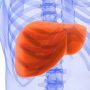 Symptoms Of Non-Alcoholic Fatty Liver Disease And Natural Remedies Without Side Effects