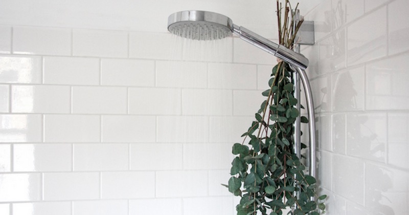 hang eucalyptus in shower