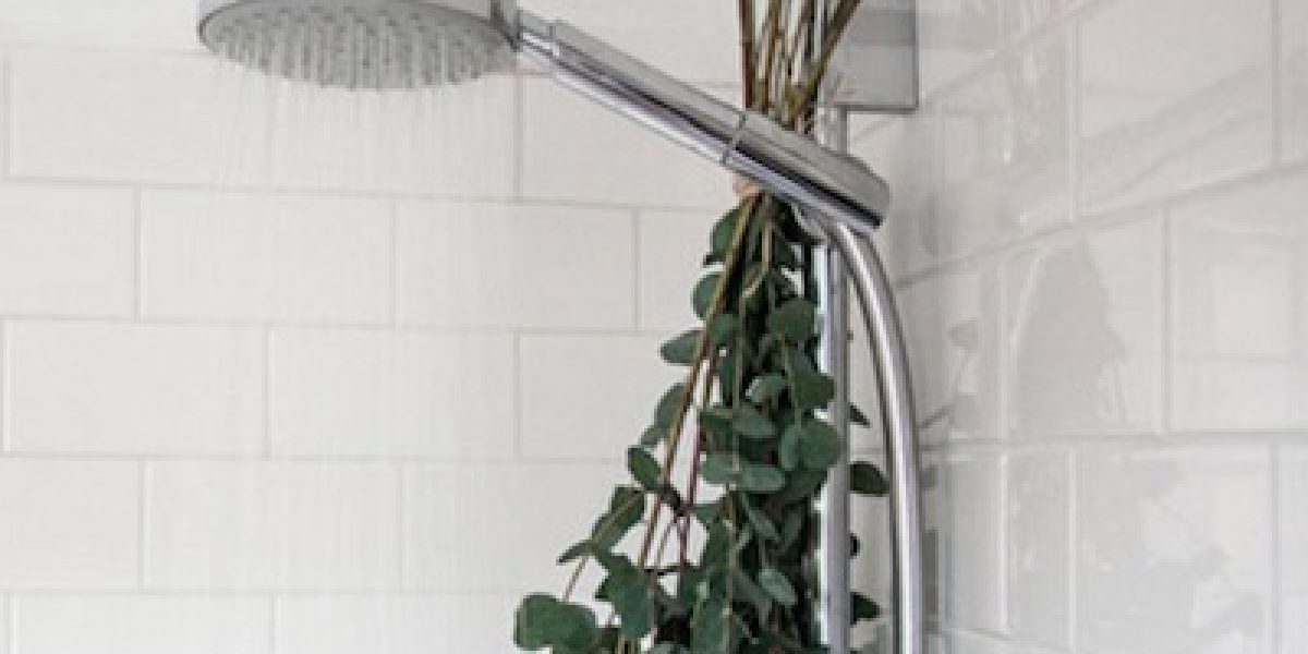 Wonderful Things That Happen When You Hang Eucalyptus In Your Shower