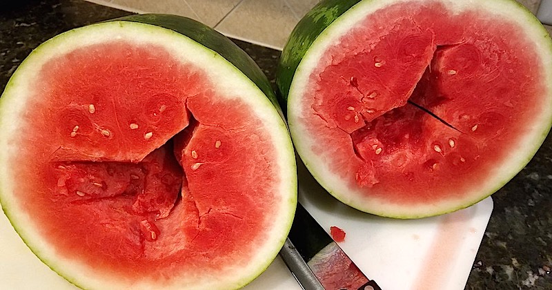 forchlorfenuron-treated watermelon