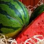 13 Health Benefits of Watermelon – Cleansing, Alkalizing and Mineralizing