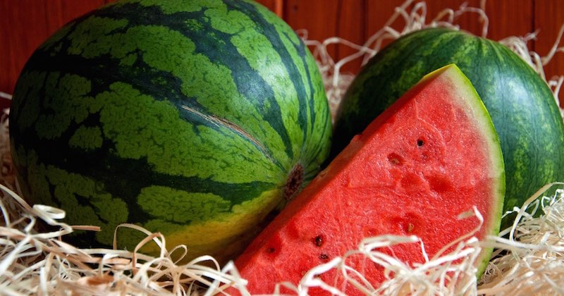 why you should eat watermelon