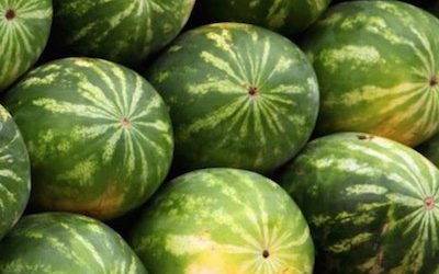 7 Quick Tips On How To Pick A Juicy And Sweet Watermelon Every Time