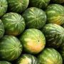 7 Quick Tips On How To Pick A Juicy And Sweet Watermelon Every Time