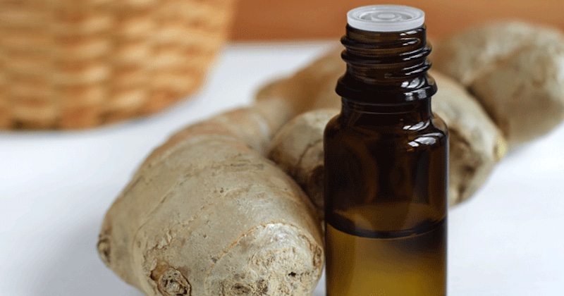 10-ginger-essential-oil-uses-benefits-how-to-use-ginger-essential-oil