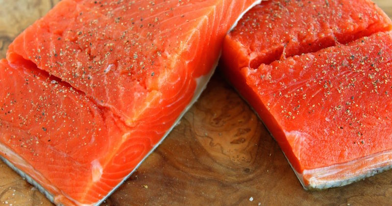 Farmed salmon genetically modified