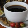 The Most Expensive Coffee In The World: Kopi Luwak (A.k.a. Civet Coffee)