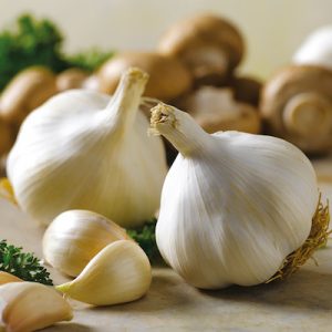 garlic cloves