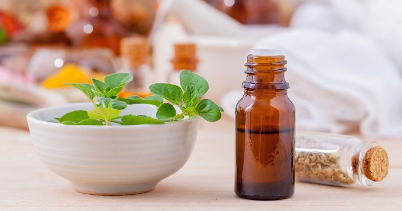 oregano oil natural antibiotic