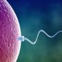 Male Infertility: Natural Ways To Improve Sperm Count, Quality, Motility And Libido!