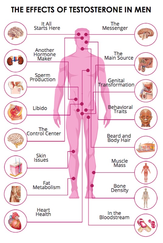 testosterone in men