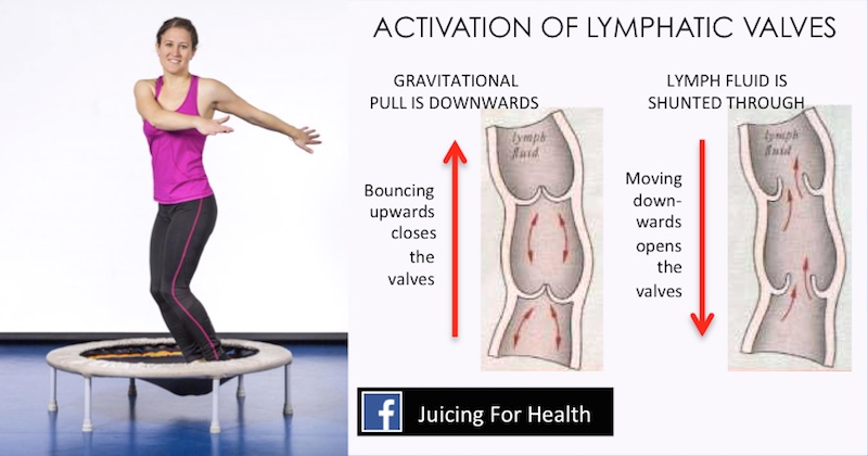 lymph fluid in knee