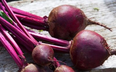 10 Must-Eat Anti-Inflammatory Foods to Relieve Arthritis Pain and Increase Mobility