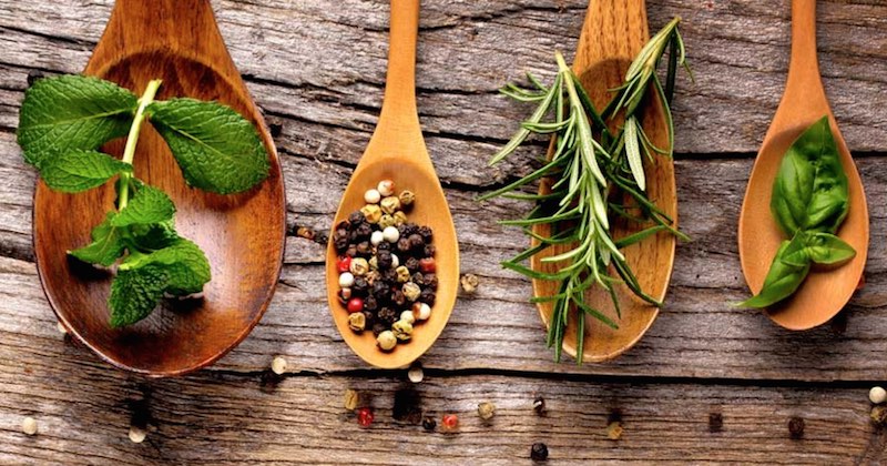 herbs in wooden spoons