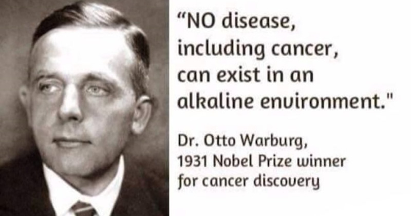 Dr Otto Warburg