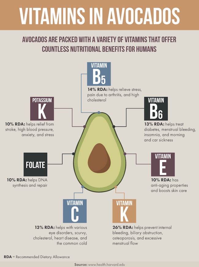 Health benefits of avocado