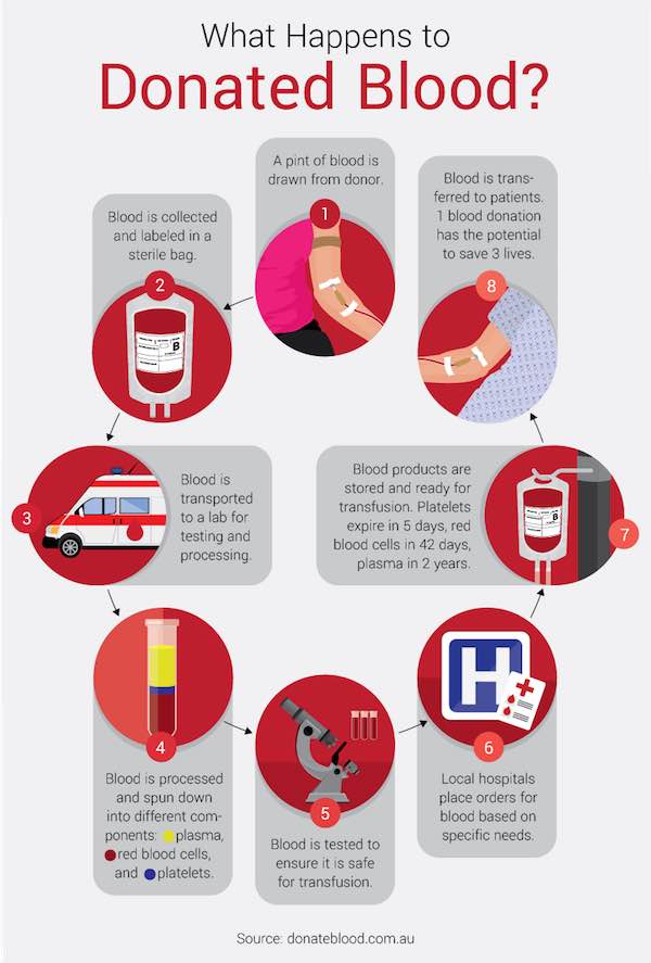 Guide To Donating Blood Complete Guide On The Benefits And How To Prep