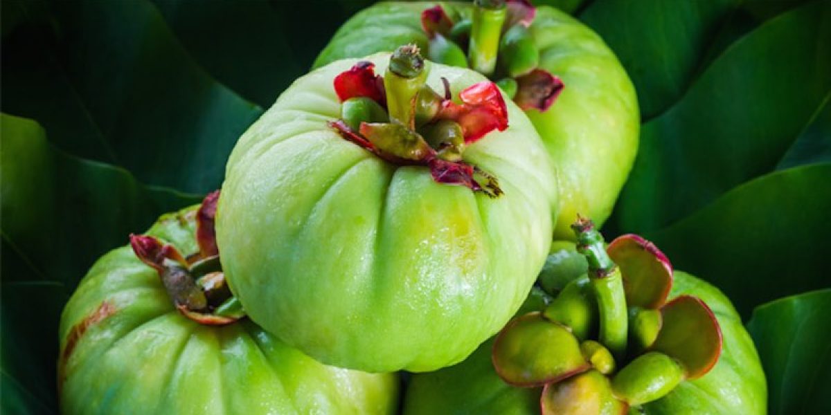 Garcinia Cambogia: The Miracle Weight Loss Fruit?