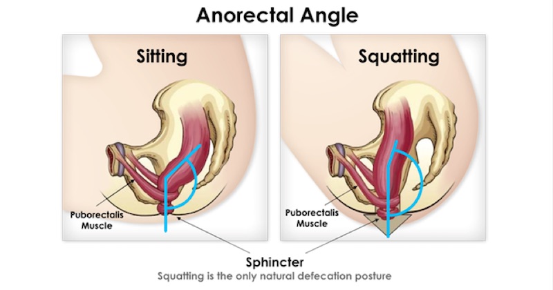 sit squat pooping