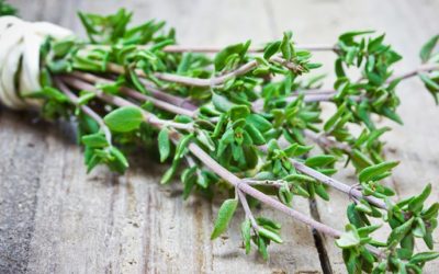 The Most Powerful Herb That Destroys Strep, Herpes, Candida And Flu Viruses