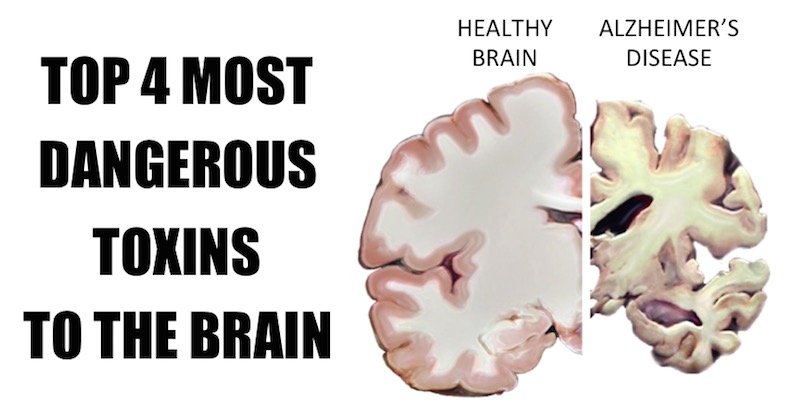 most dangerous toxins to brain