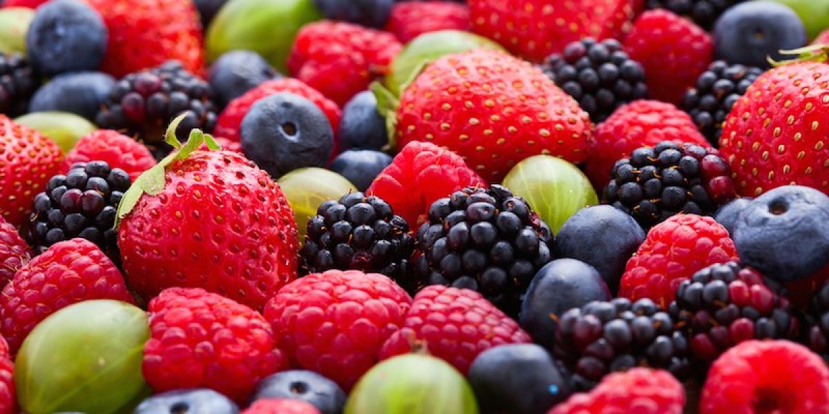 The Most Common Nutritious Berries—Vitamins, Minerals, Phytonutrients Comparison